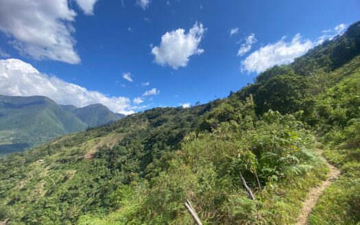 Hermosa finca productiva disponible para venta