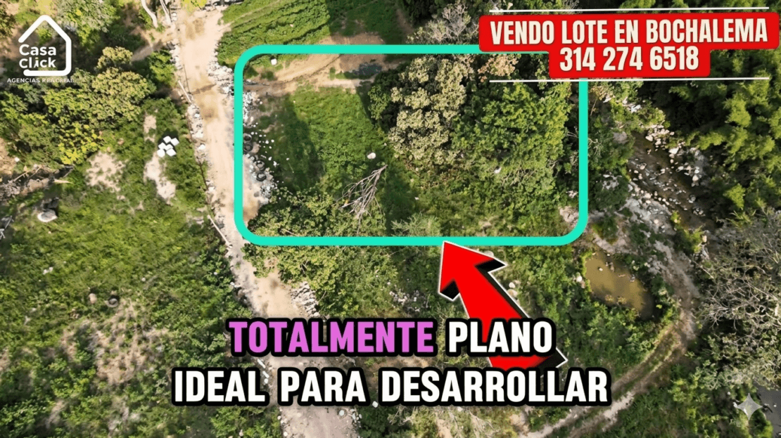 video image